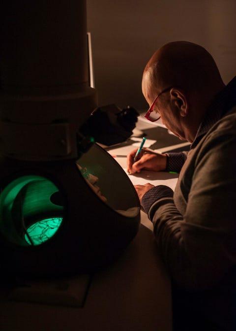 Angelo de Stradis wetenschapper van de Nationale Onderzoeksraad CNR in Bari gebruikt een transmissieelektronenmicroscoop om de bacterie Xylella fastidiosa te onderzoeken