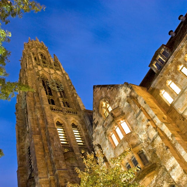 yale university