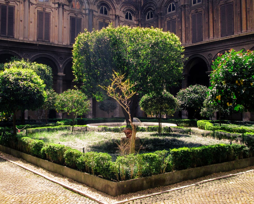 yard with many trees at doria pamphilj gallery in rome, galleria doria pamphilj
