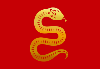 year of the snake