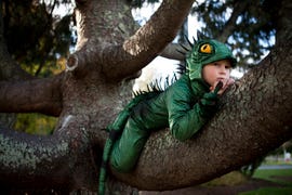 niño disfrazado subido a un árbol