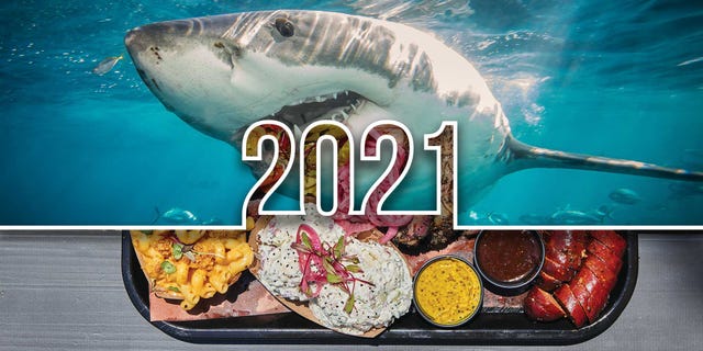year in review, alta live
