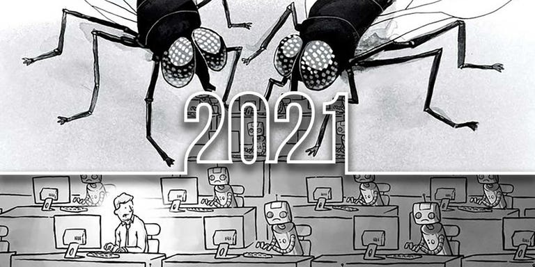 year in review, cartoons