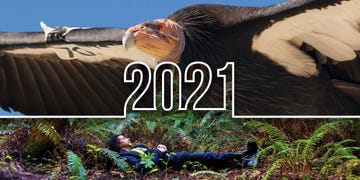 year in review, editors picks