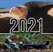 year in review, editors picks year in review, editors picks