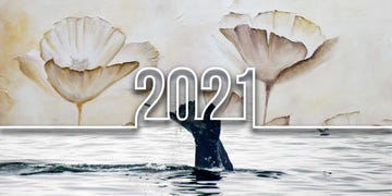 year in review, poetry