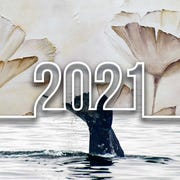 year in review, poetry year in review, poetry