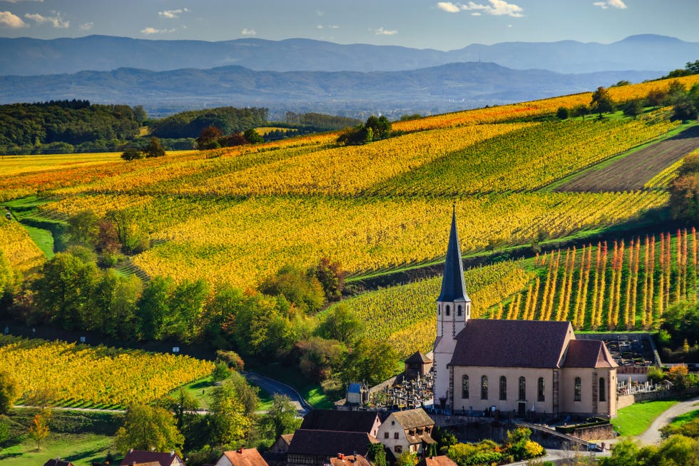 French vineyard: Most beautiful vineyards in France