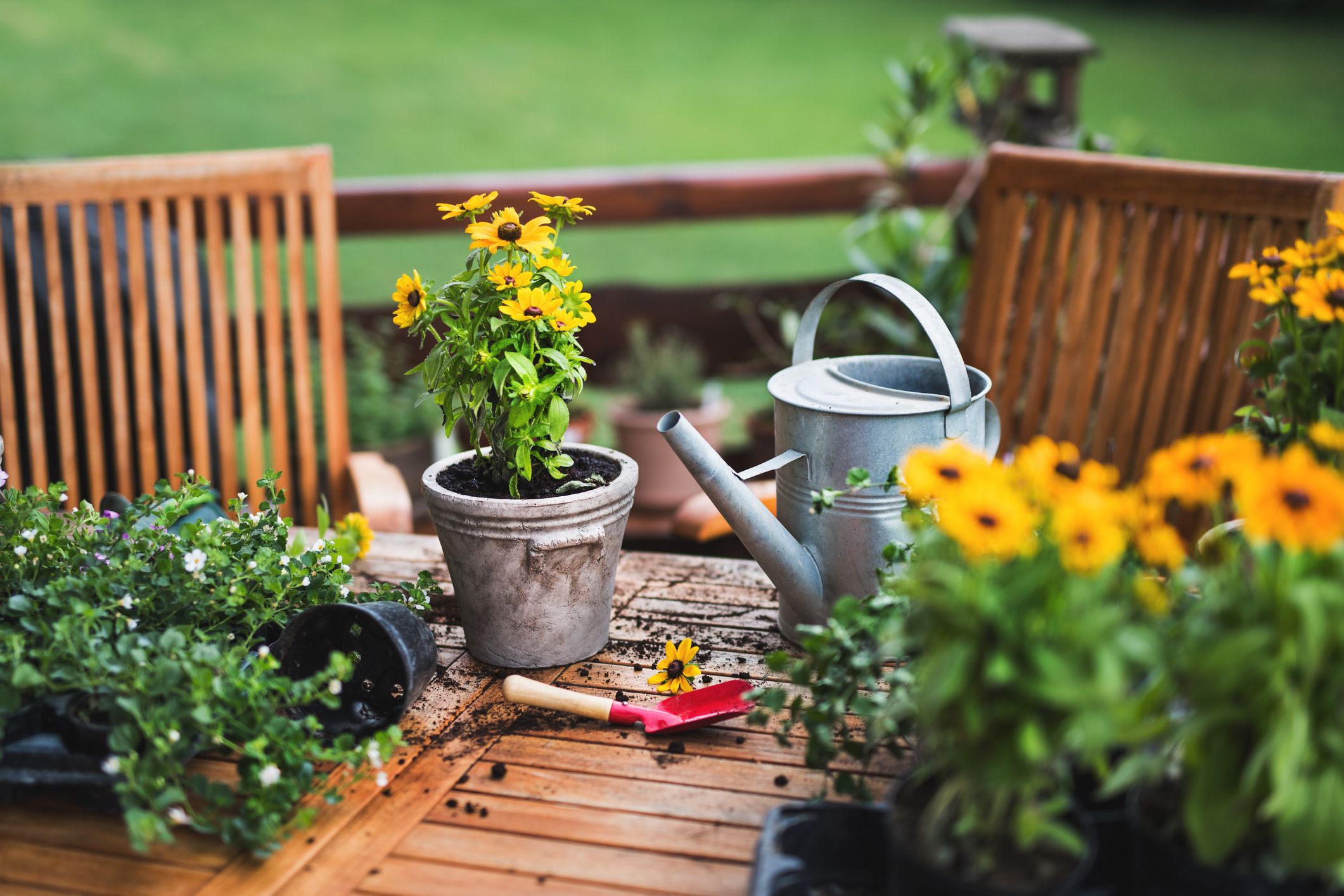 Estas son las herramientas más útiles y bonitas para tu jardín