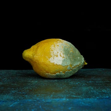 yellow lemon with green mold growing on it yellow lemon with green mold growing on it