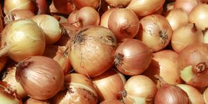 benefits of onions