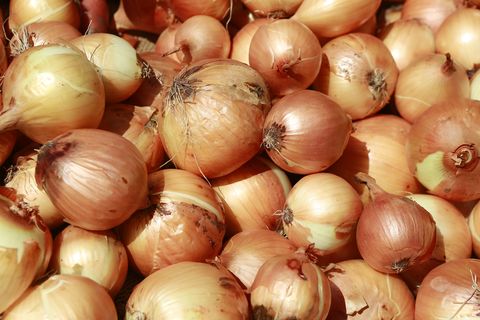 yellow onions for sale at the south station produce market in boston, massachusetts