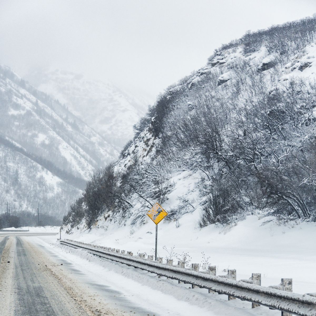 Yellow S Curve Warning Road Sign On Slushy Winter Highway