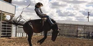jimmy rodeo yellowstone season 3