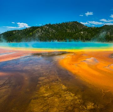grand prismatic spring in yellowstone with streaks of bright orange and brown leading to yellow, which changes to green and blue the farther into the water you go, there is a green mountain in the background