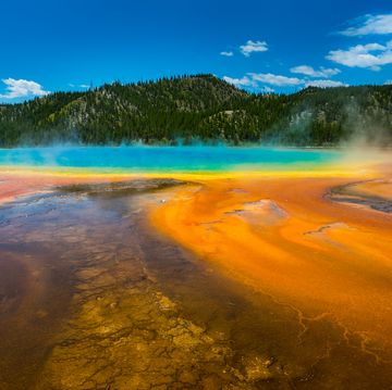 grand prismatic spring in yellowstone with streaks of bright orange and brown leading to yellow, which changes to green and blue the farther into the water you go, there is a green mountain in the background