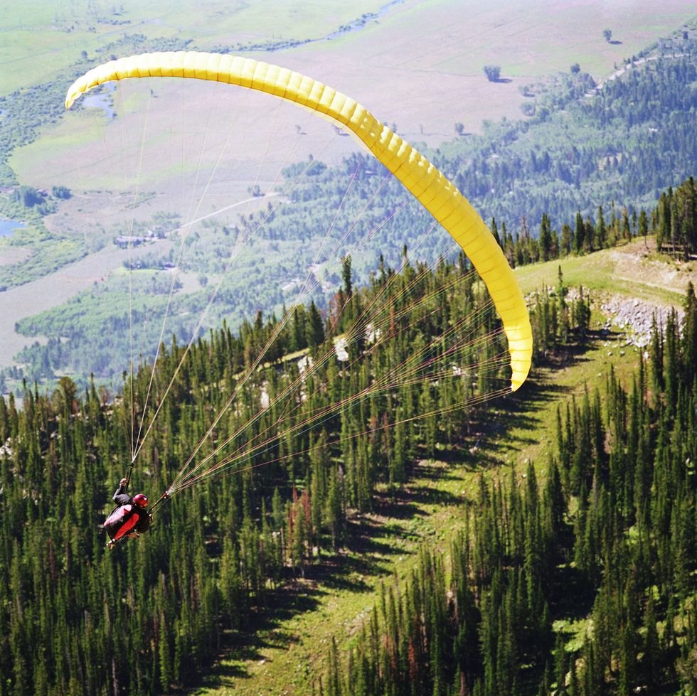 a person paragliding in the air above a mountain forest