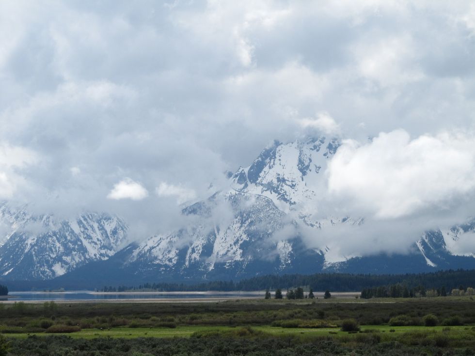 tetons mountains with clouds around them and green field in foreground