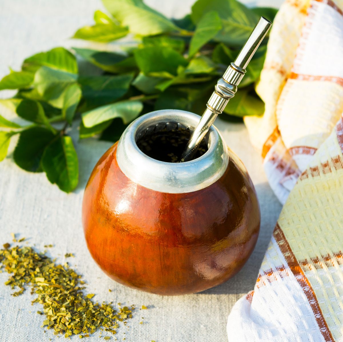 Everything You Need To Know About Yerba Mate