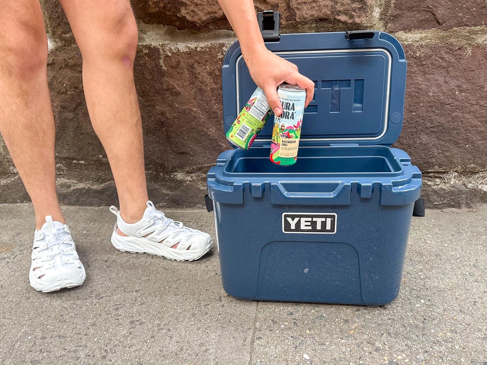 The Best Mini Coolers of 2024 Best Small Coolers