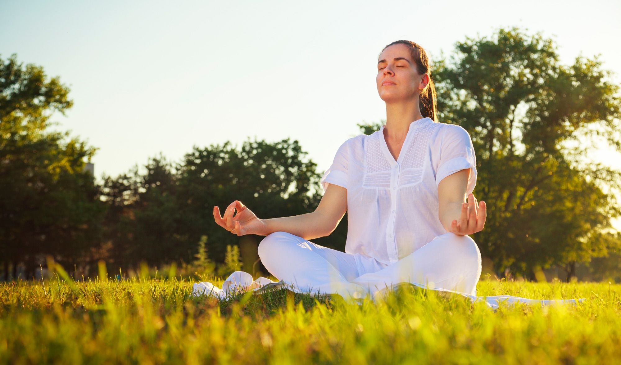 Alternative therapies that really work. 