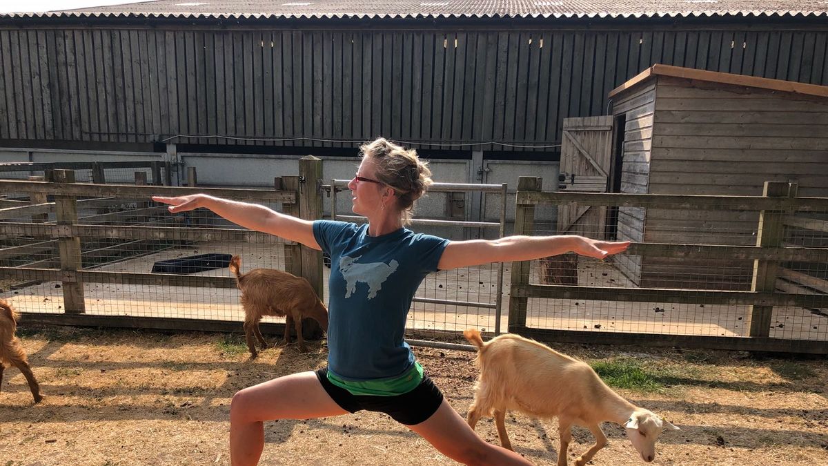 Goat Yoga Will Return To Nottinghamshire Farm After Selling Out