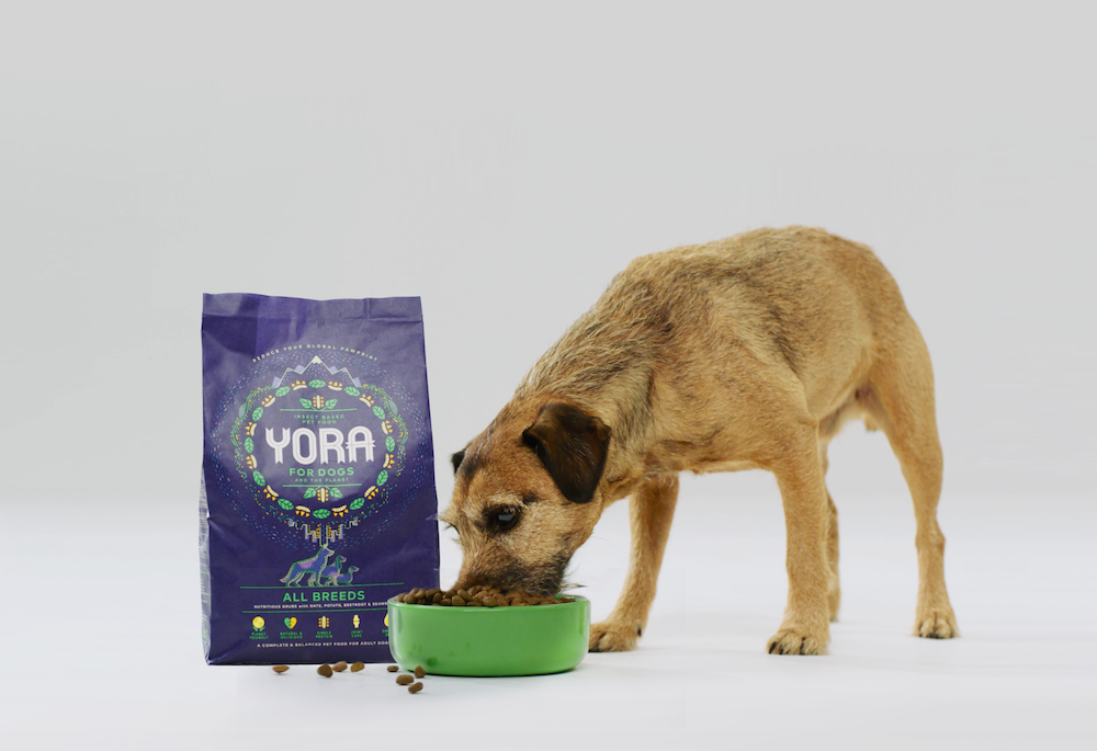 Yora dog food photo