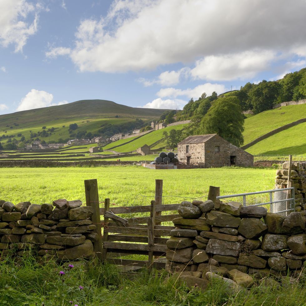 view over a stone wall towards the swaledale village of gunnerside the yorkshire dales, england