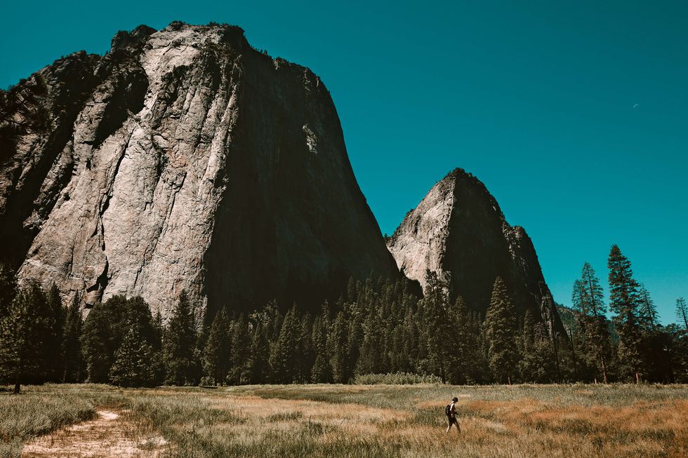 Meadow by El Capitan granite monolithe. Yosemite National