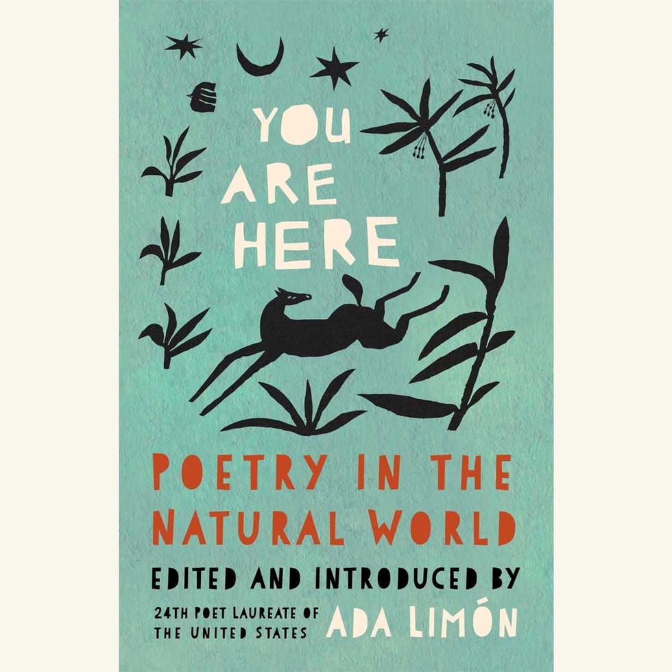 you are here, ada limon