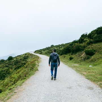 young active man with backpack walking along mountain path on green landscape rear view of adult hiker enjoying nature on vacation copy space for text