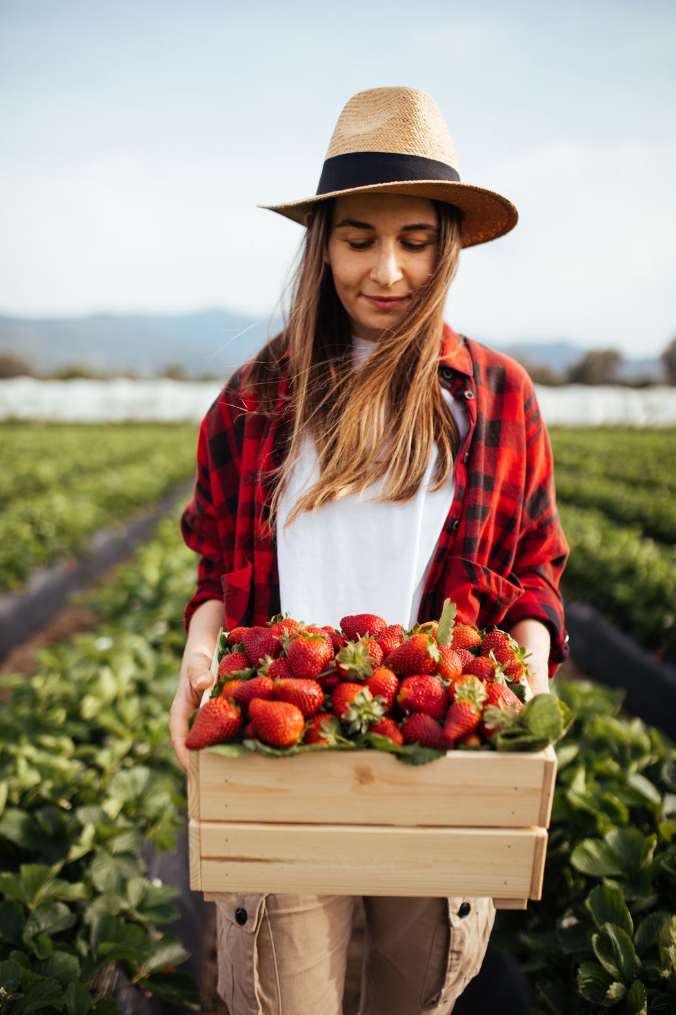 young attractive woman holding a basket filled with strawberries