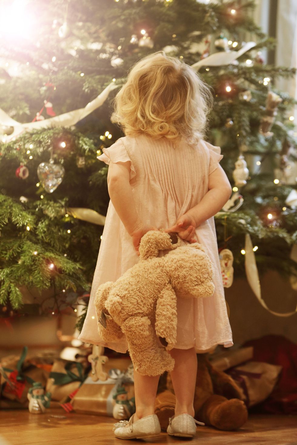 young child with teddy looking up at christmas tree