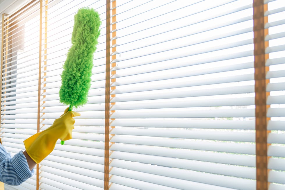 young female spring cleaning house interior holding a duster for wiping dust dusting furniture at home