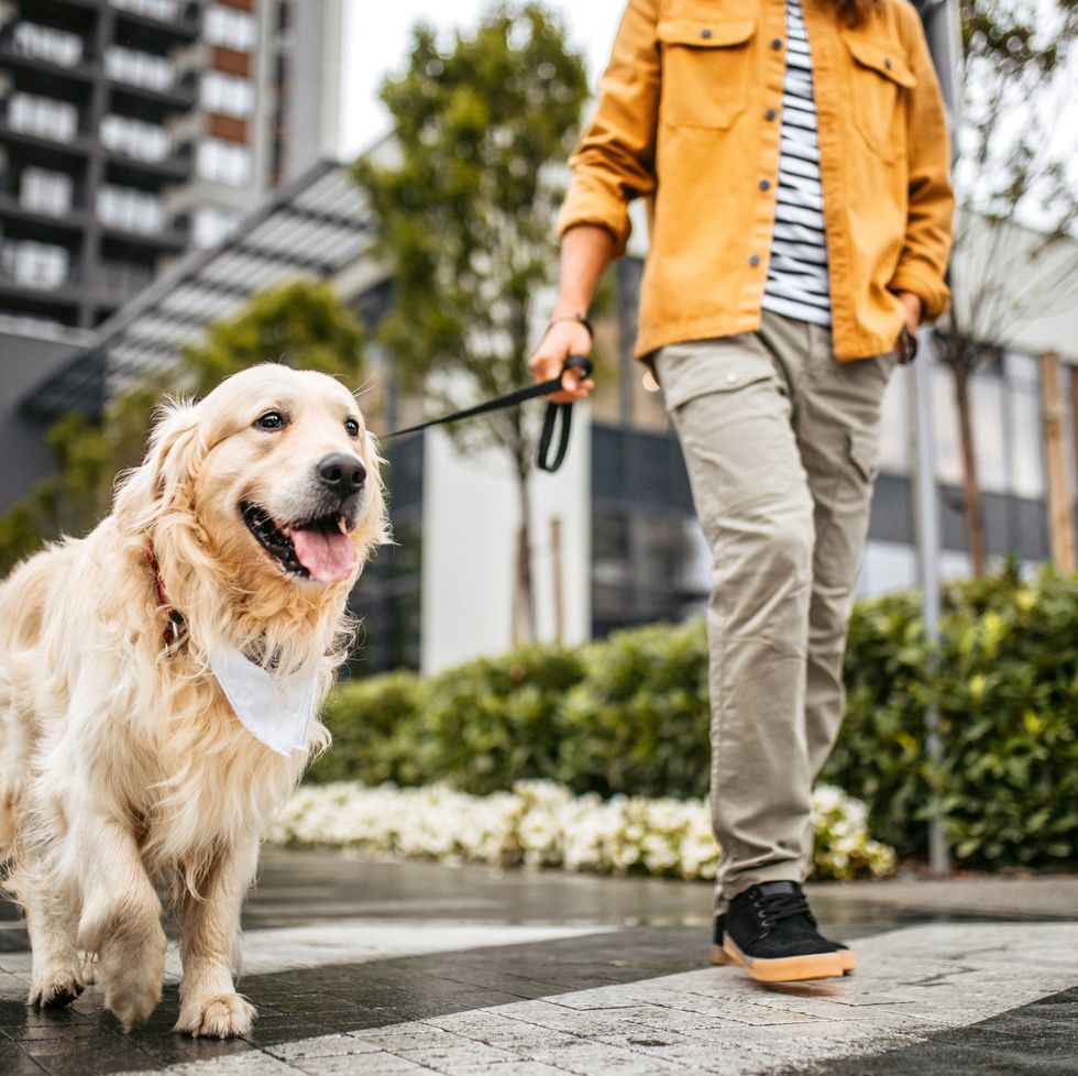 21 hobbies that can make money