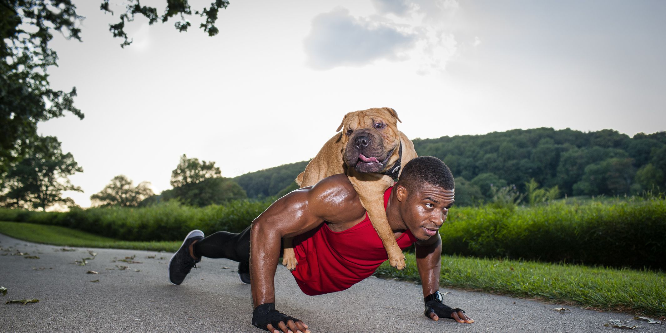 can you over exercise your dog