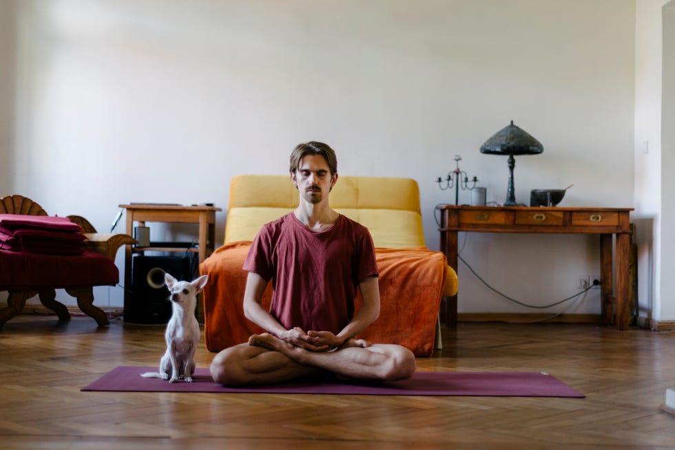 hombre haciendo yoga con su perro en su dormitorio