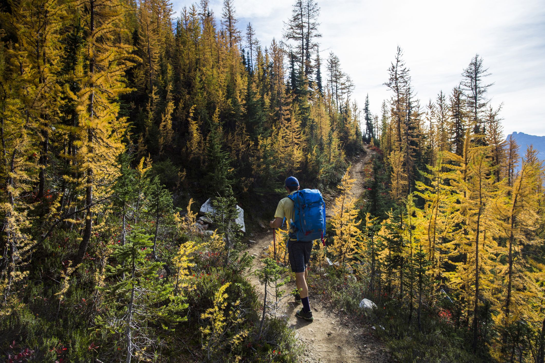 Hiking the pacific outlet northwest trail