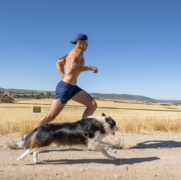 a young man trainning with his border collie pet