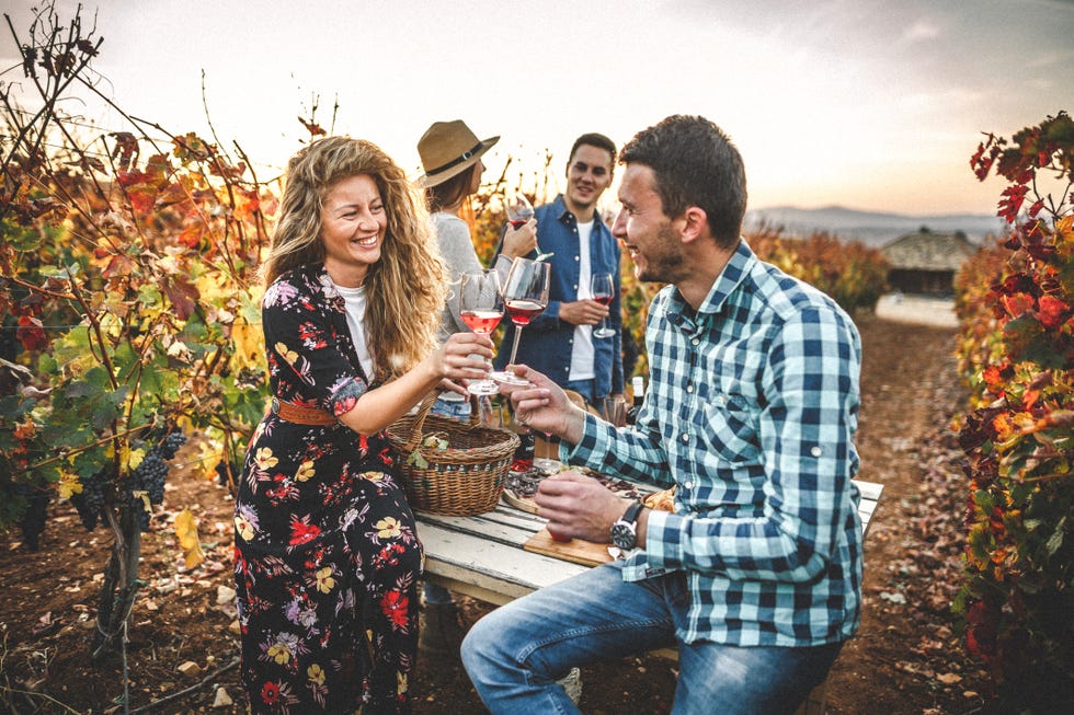 young people having fun together while drinking wine