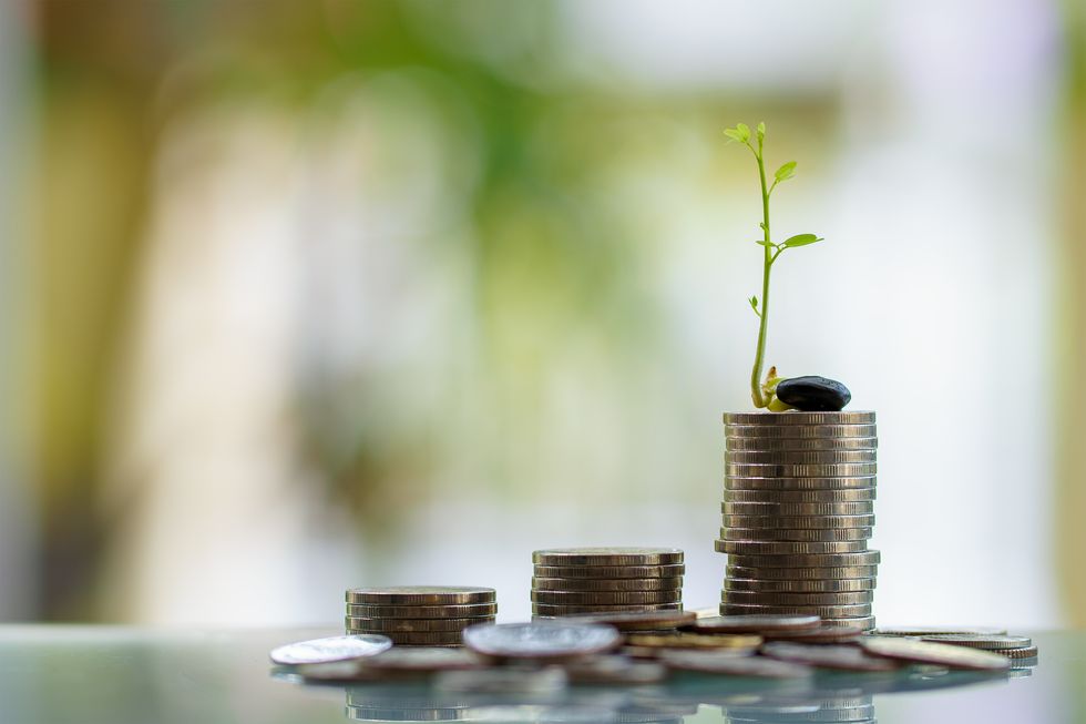 young plant growing in coins, business concept
