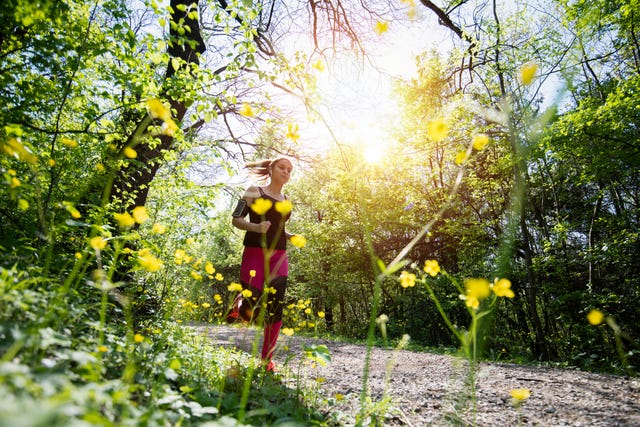 young sporty woman jogging through the forest