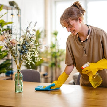 Young Woman Cleaning The Dining Table Surface young woman cleaning the dining table surface