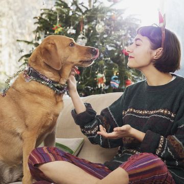 Young woman cuddles dog, sitting on sofa in front of the Christmas tree.