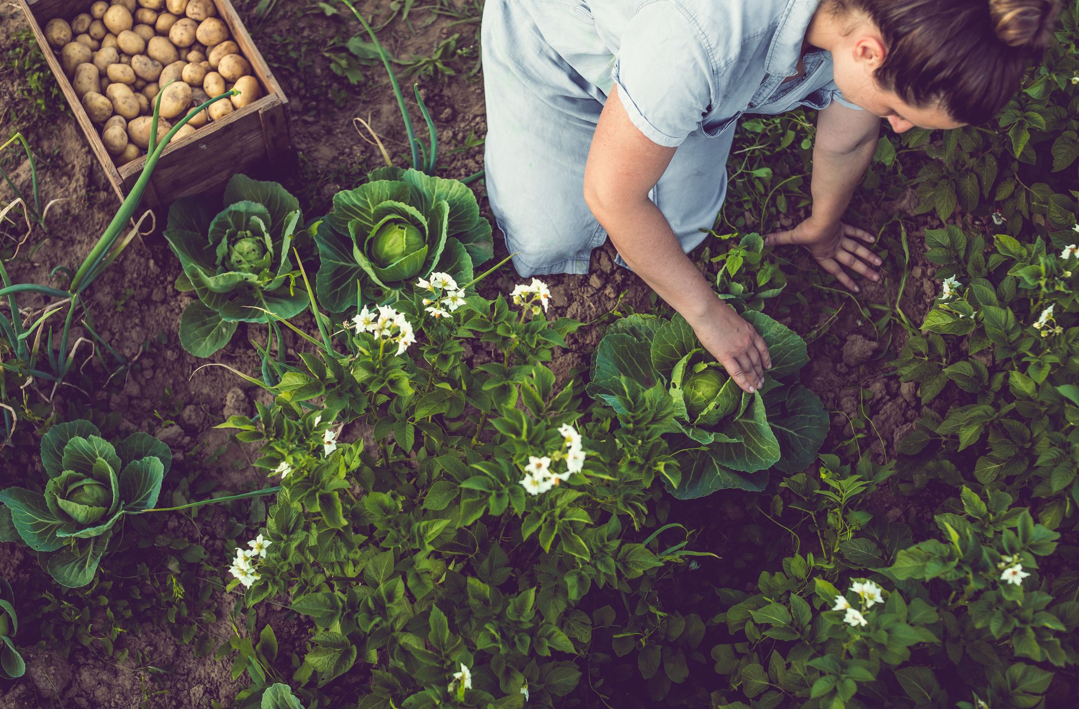 5 Simple Steps to Start Mindful Gardening for Inner Peace