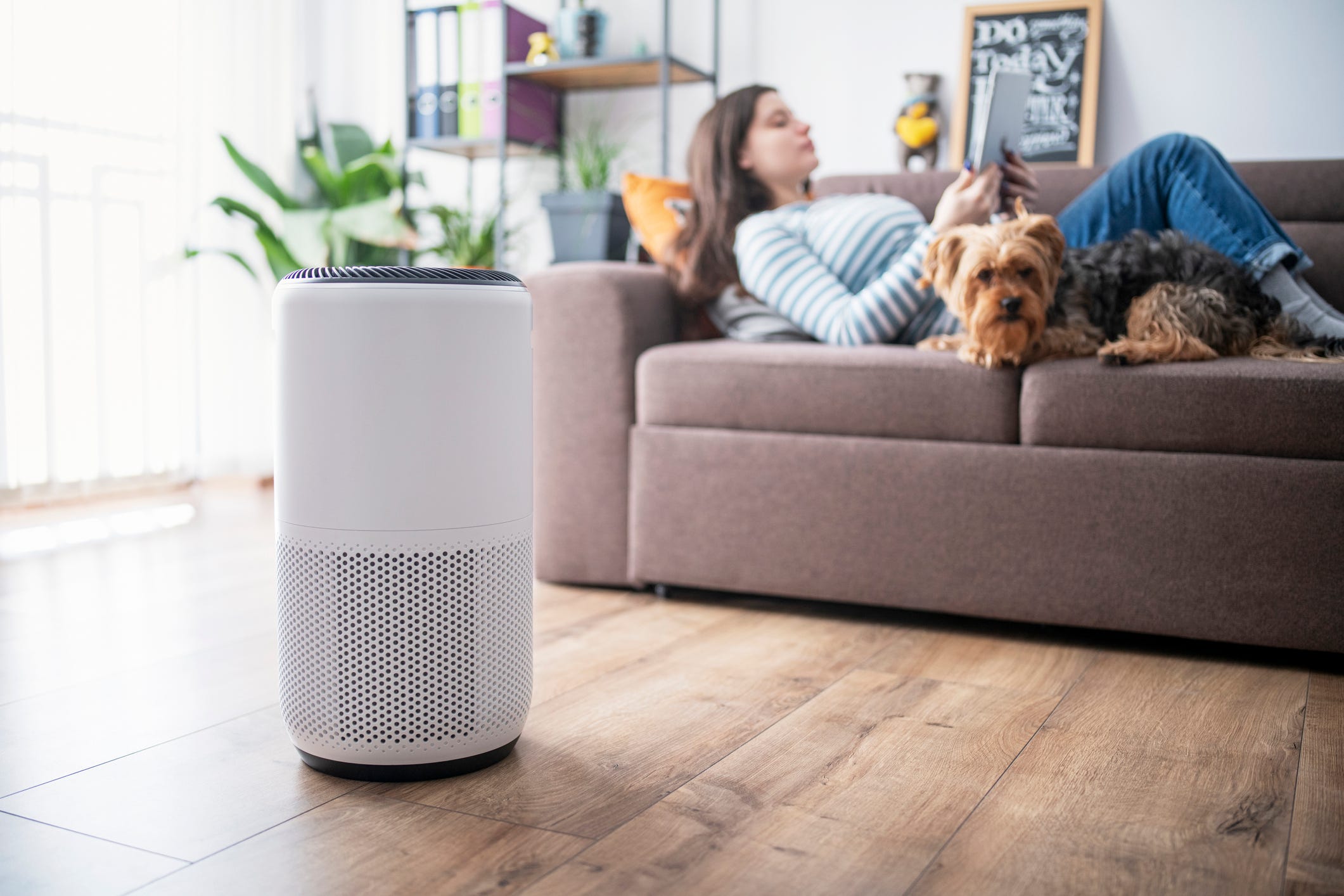 Air Purifiers  Humidifiers: Benefits, Differences,  Best Uses In Indian  Home
