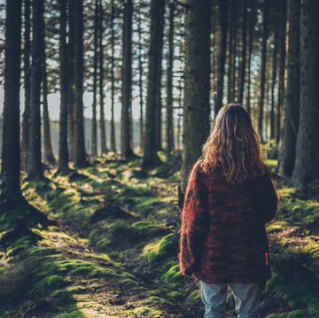 Young woman in the forest at sunset young woman in the forest at sunset