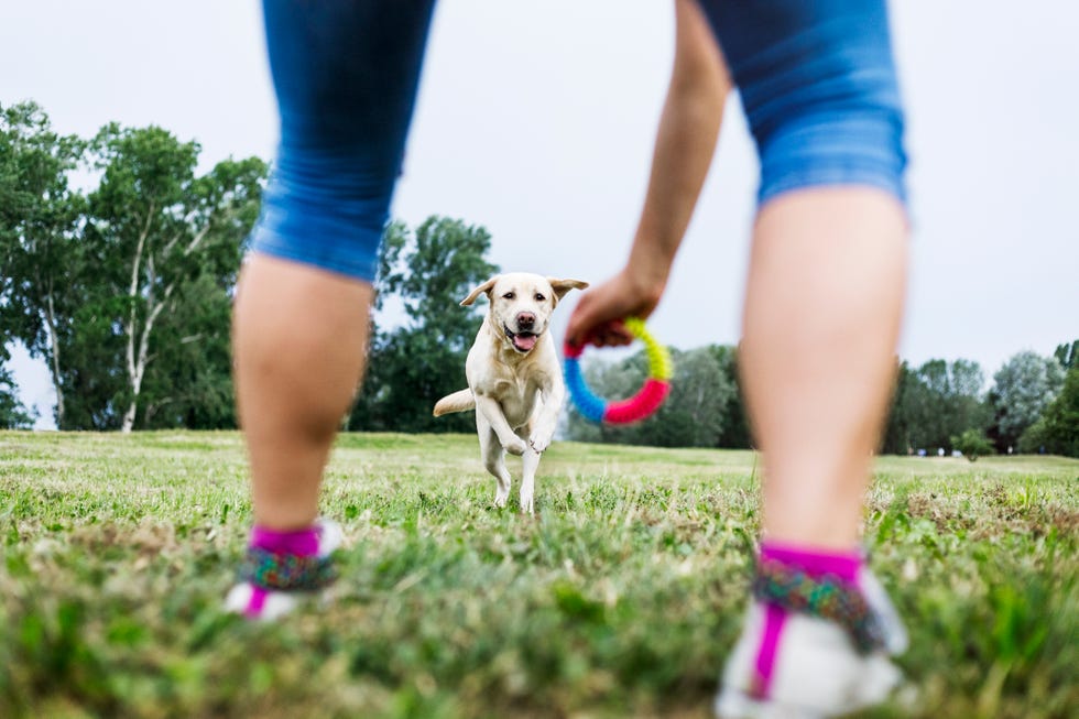 young woman playing with her dog outdoors with indestructible dog toy