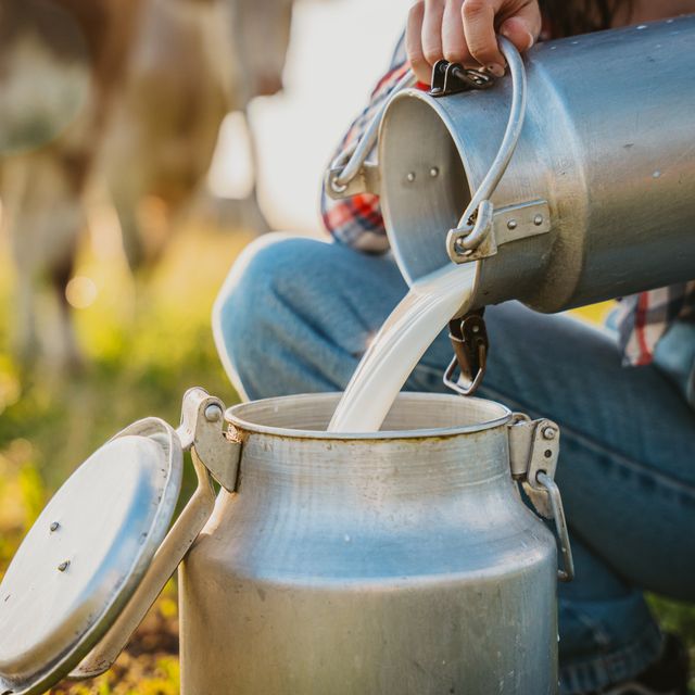 young woman pouring raw milk into container while crouching in field
