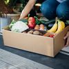 9 Best Grocery Delivery Services of 2024